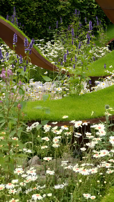 The World Vision Garden at The Hampton Court Palace Flower Show 2016 (© Ellen Rooney/Alamy Stock Photo) mobile wallpaper
