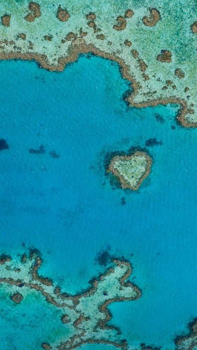 Heart Reef, part of the Great Barrier Reef off Queensland, Australia (© Peter Adams/Offset by Shutterstock) mobile wallpaper