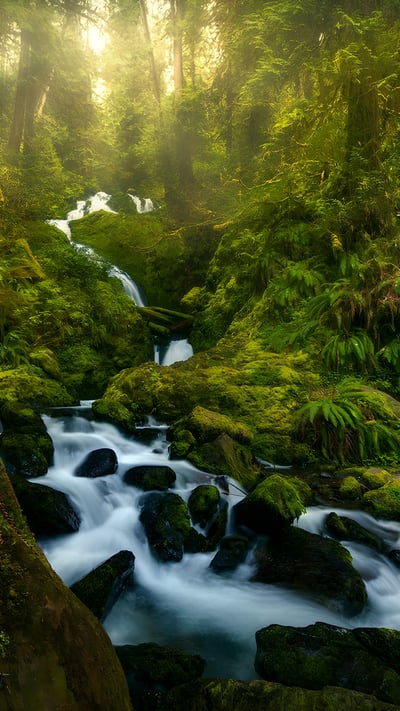 A waterfall in Olympic National Park, Washington (© Chris Moore/TANDEM Stills + Motion) mobile wallpaper