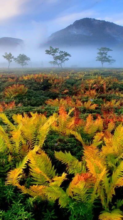 Hokkaido, Japan (© Hiroshi Yokoyama/eStock Photo) mobile wallpaper