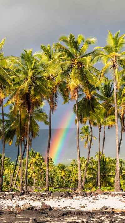 Pu'uhonua o Hōnaunau National Historical Park, Big Island, Hawaii (© Westend61/Getty Images) mobile wallpaper
