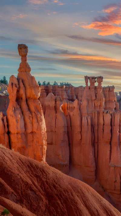 Hoodoos, Sunset Point, Bryce Canyon National Park, Utah (© Tim Fitzharris/Minden Pictures) mobile wallpaper