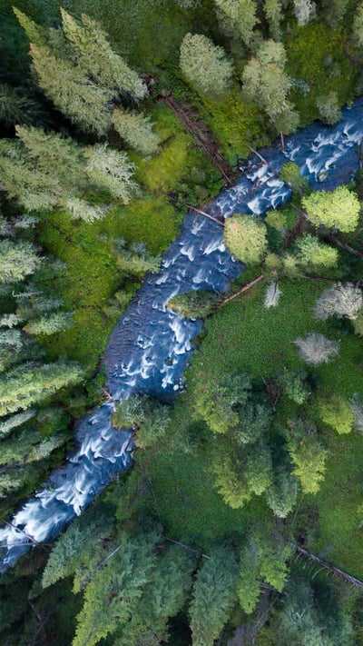 Hyalite Creek in the Custer Gallatin National Forest, Montana, USA (© Jared Lloyd/Getty Images) mobile wallpaper