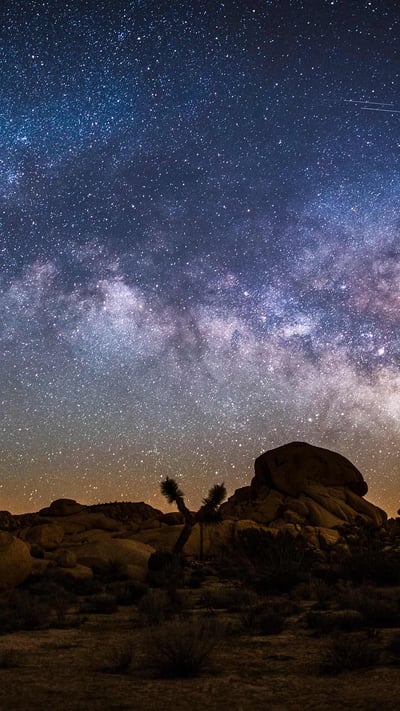 Milky Way over Joshua Tree National Park, California (© Schroptschop/Getty Images) mobile wallpaper