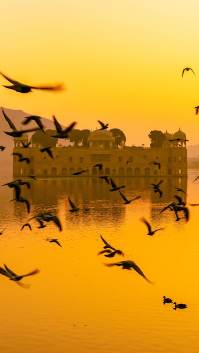 Jal Mahaal water palace at lake Man Sagar, Jaipur (© Amit kg/Shutterstock) mobile wallpaper