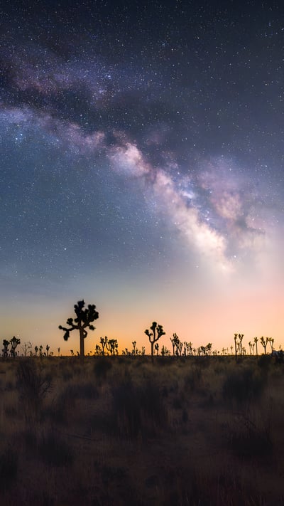 Joshua trees under the Milky Way, California (© Chao Zhang/Getty Images) mobile wallpaper