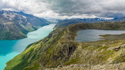 Europe's wild side