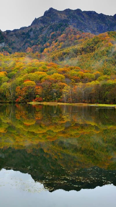 「鏡池」長野, 戸隠 (© magicflute002/Getty images) mobile wallpaper