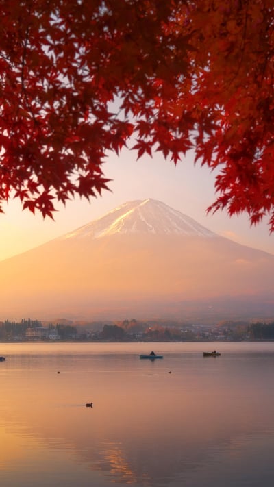 「河口湖から見た朝焼けの富士山」山梨 (© Tai GinDa/Getty images) mobile wallpaper
