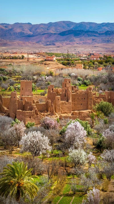 Ruins of a kasbah in Kalaat M'Gouna, Morocco (© Leonid Andronov/Getty Images) mobile wallpaper