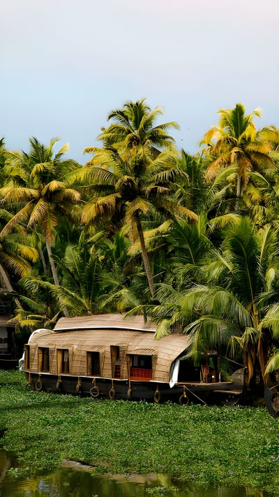 Houseboats on Vembanad lake, Kerala (© artherng/Getty Images) mobile wallpaper