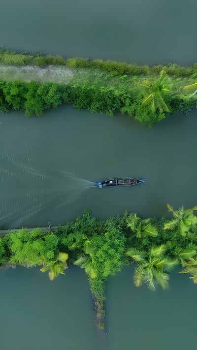 Beautiful aerial view of Kerala (© ebin francis/Shutterstock) mobile wallpaper