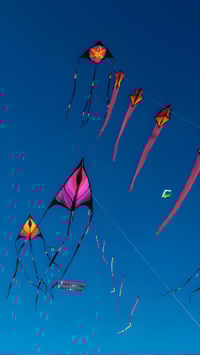 Adelaide International Kite Festival, Australia (© Andrey Moisseyev/Alamy) mobile wallpaper