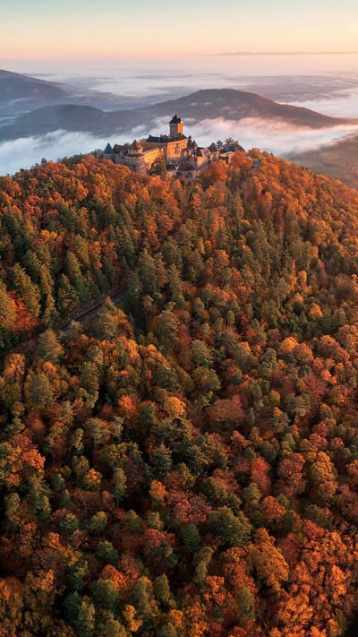 Château du Haut-Koenigsbourg au lever du soleil, à Orschwiller, Alsace, Grand Est (© PATRICK HERTZOG/AFP via Getty Images) mobile wallpaper