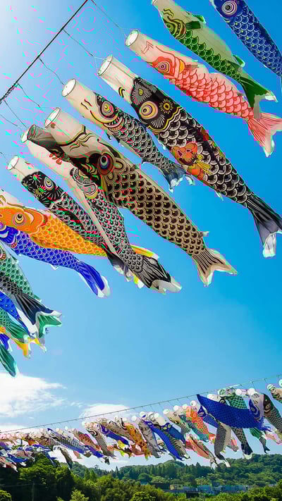 ｢泳げ鯉のぼり相模川｣神奈川, 相模原市 (© Leo Hartadi/500px/Getty Images) mobile wallpaper