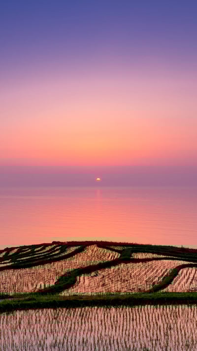 「白米千枚田の夕日」石川, 輪島市 (© M Andy/Shutterstock) mobile wallpaper