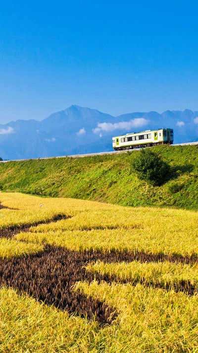 「秋の小海線」山梨県, 北杜市 (© Masanori Yamanashi/SIME/eStock Photo) mobile wallpaper