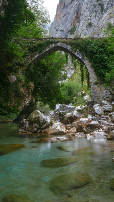 Puente de la Jaya, Rio Cares, Picos de Europa, Asturias, España (© Joana Kruse/Alamy Images) mobile wallpaper