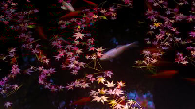 20191017