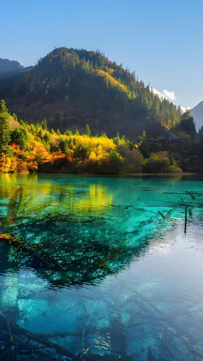 五花海,阿坝九寨沟旅游景区,四川省,中国 (© Michael Ver Sprill/Getty Images) mobile wallpaper