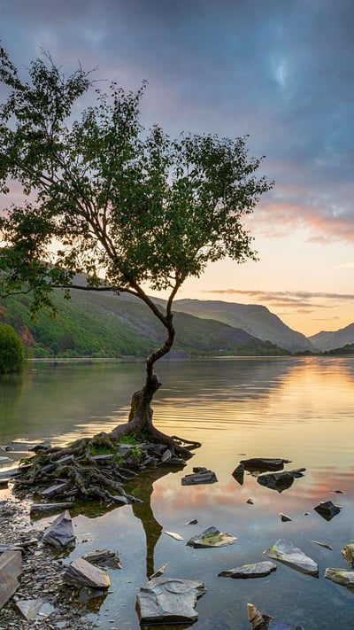 Sunrise at Llyn Padarn at Llanberis, Snowdonia National Park (© Helen Hotson/Alamy Stock Photo) mobile wallpaper
