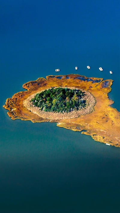 Reedy Island in Moneyboque Bay, Long Island, New York (© Claudia Uripos/eStock Photo) mobile wallpaper