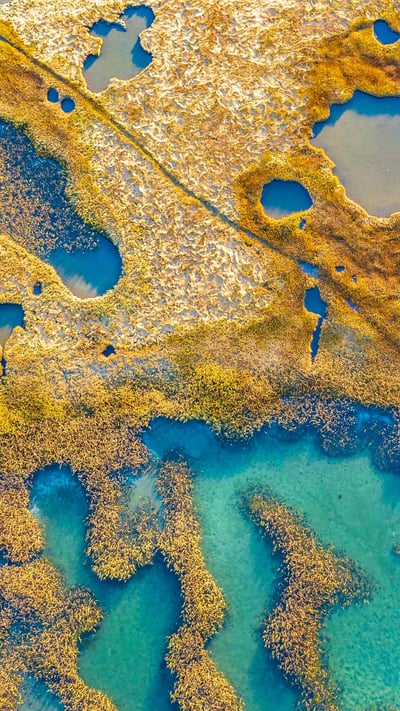 Marshland, Gloucester, Massachusetts (© Thomas H. Mitchell/Getty Images) mobile wallpaper