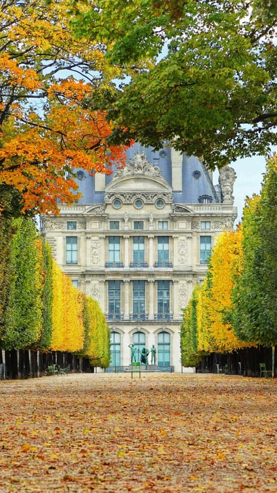 Jardin des Tuileries in autumn, leading to the Louvre Museum in Paris, France (© Brian A. Jackson/Getty Images Plus) mobile wallpaper