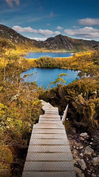 Cradle Mountain-Lake St. Clair National Park, Tasmania, Australia (© Paparwin Tanupatarachai/Getty Images) mobile wallpaper