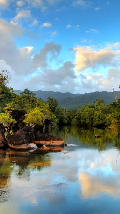 Masoala National Park in Madagascar (© Dennis van de Water/Shutterstock) mobile wallpaper
