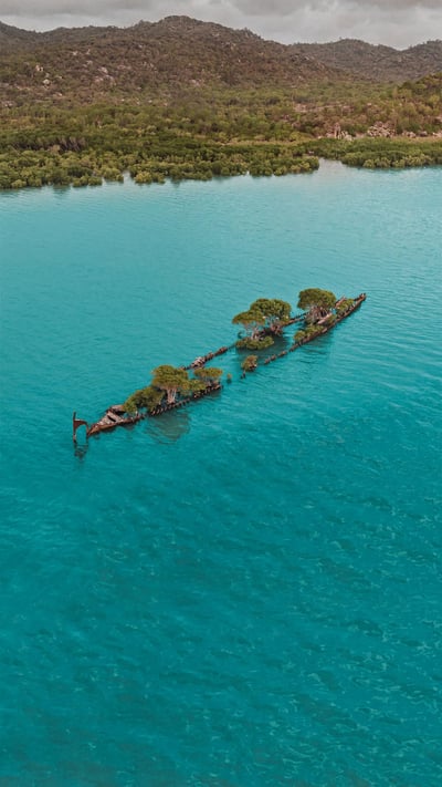 Aerial view of the City of Adelaide shipwreck with trees growing on it, Magnetic Island, Queensland, Australia (© Amazing Aerial Agency/Offset by Shutterstock) mobile wallpaper