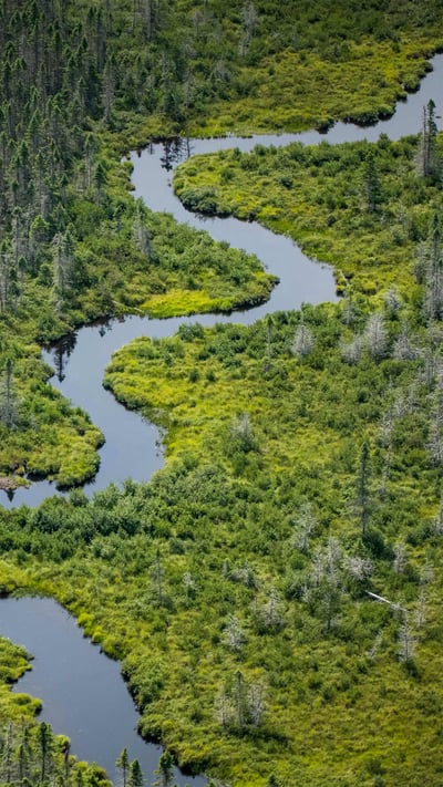 Norcross Brook and wetlands near Moosehead Lake in Piscataquis County, Maine (© Aaron Black-Schmidt/Tandem Stills + Motion) mobile wallpaper