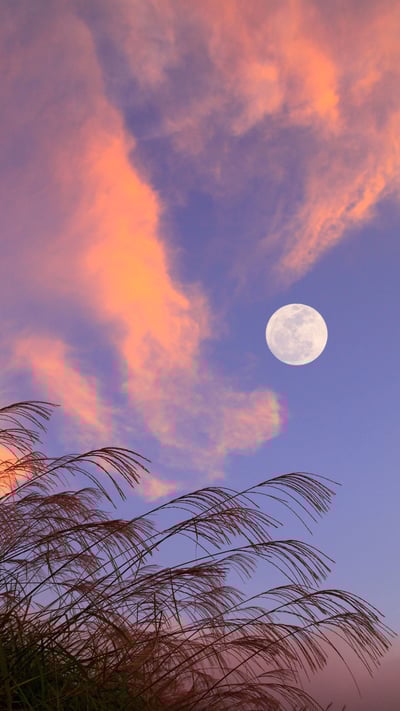 「満月」 (© Aflo Co., Ltd/Alamy Stock Photo) mobile wallpaper