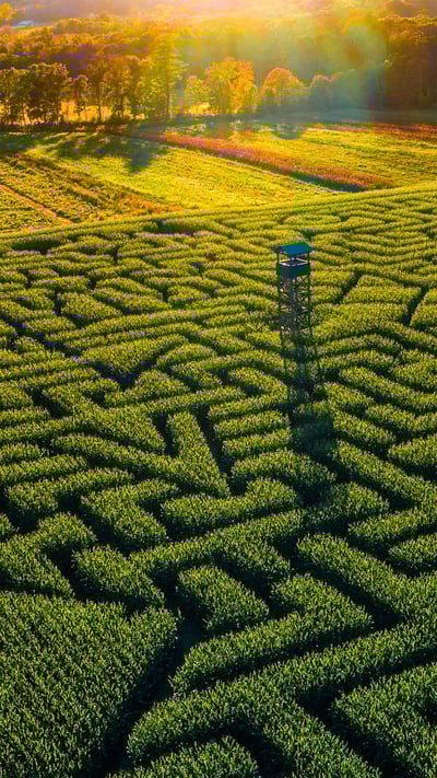 Mazezilla corn maze at Klingel's Farm in Pennsylvania (© Alex Potemkin/Getty Images) mobile wallpaper