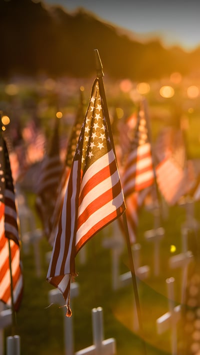 Field of flags set up for Memorial Day (© Andrew Seegmiller/Getty Images) mobile wallpaper