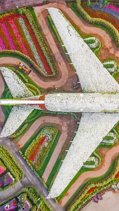 Dubai Miracle Garden, United Arab Emirates (© Amazing Aerial/Offset) mobile wallpaper