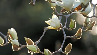 20190419