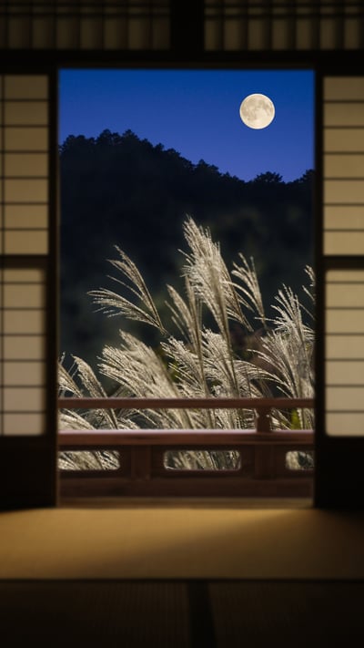 ｢月｣京都府 (© Aflo/Aflo Co., Ltd./Alamy Stock Photo) mobile wallpaper