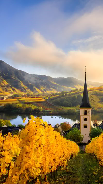 Kirchturm von Bremm an der Moselschleife, Rheinland-Pfalz (© Jan Wehnert/Shutterstock) mobile wallpaper
