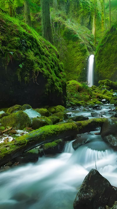 Mossy Grotto Falls, Columbia River Gorge, Oregon (© Chase Dekker Wild-Life Images/Getty Images) mobile wallpaper