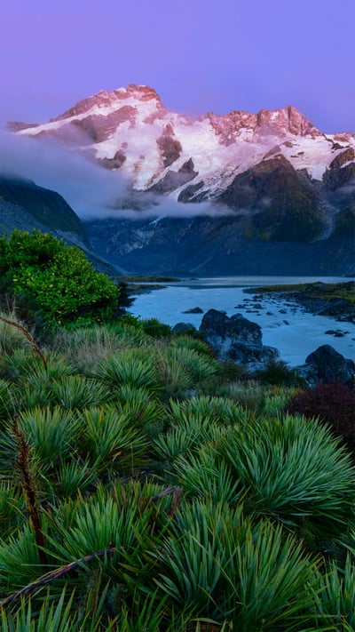 Mount Sefton in Aoraki/Mount Cook National Park, South Island, New Zealand (© AWL Images/Danita Delimont) mobile wallpaper
