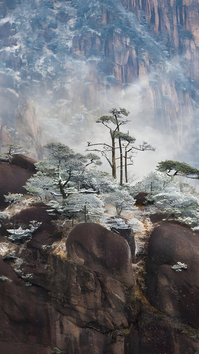 Winter at Huangshan, China (© Hung Chung Chih/Shutterstock) mobile wallpaper