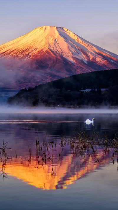水面に映る紅富士, 山梨 (© Nyoman Sundra/Getty Images) mobile wallpaper