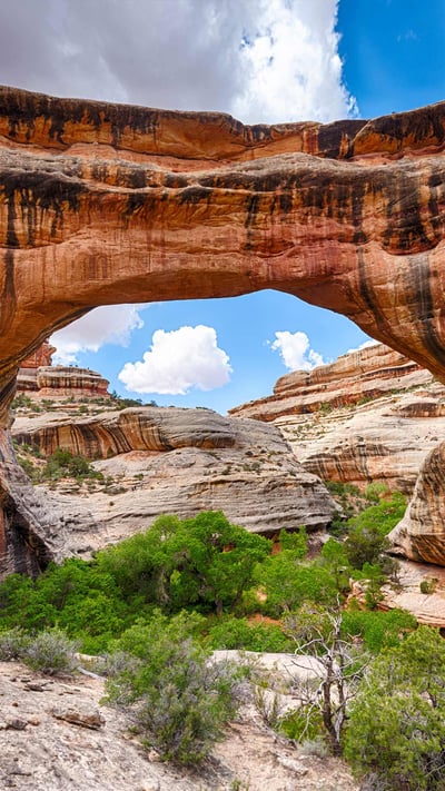Sipapu Bridge in Natural Bridges National Monument, Utah (© Fyletto/Getty Images) mobile wallpaper