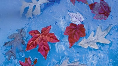 20201121