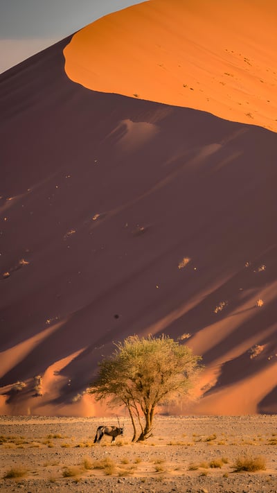 Sossusvlei sand dunes, Namib desert, Namibia (© Airpano/Amazing Aerial Agency) mobile wallpaper