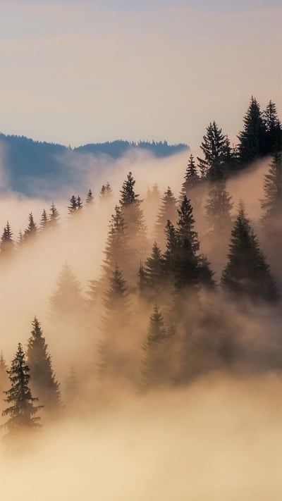 Fog shrouds the Bavarian Alps in Germany (© Anton Petrus/Getty Images) mobile wallpaper