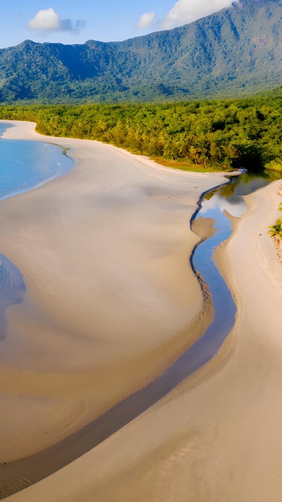 Noah Beach in Daintree Rainforest, Queensland, Australia (© bjeayes/Getty Images) mobile wallpaper