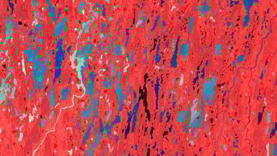 20201121