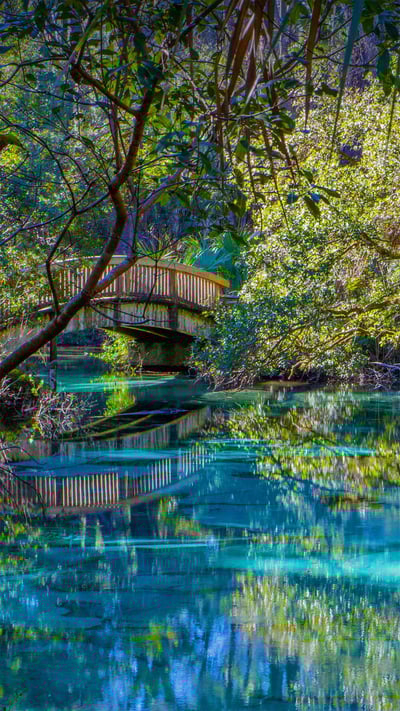 Juniper Springs in Ocala National Forest, Florida (© Michael Warren/Getty Images) mobile wallpaper